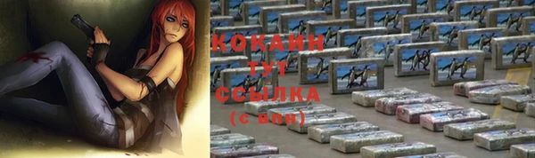 твердый Бородино