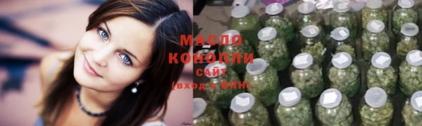 твердый Бородино