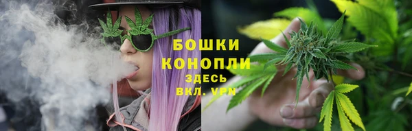 твердый Бородино
