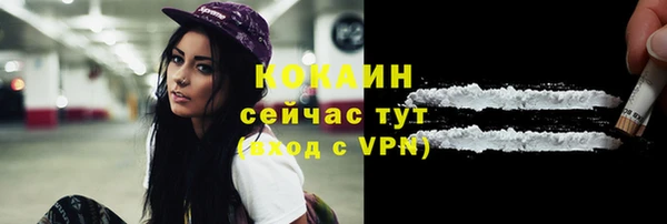 шишки Бронницы