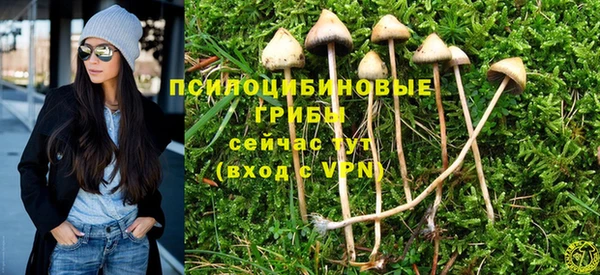 сатива Бугульма