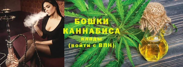 шишки Бронницы
