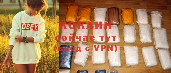 шишки Бронницы