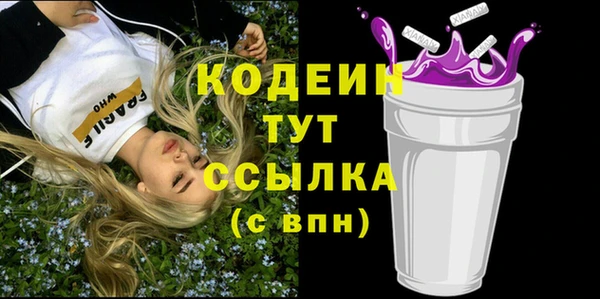 твердый Бородино
