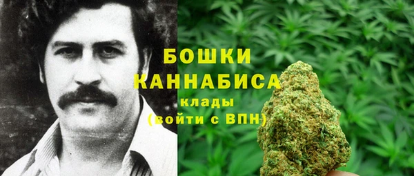 твердый Бородино