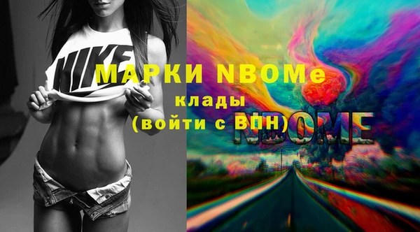 твердый Бородино