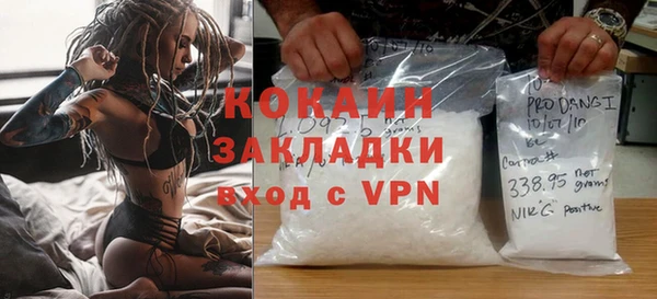 твердый Бородино