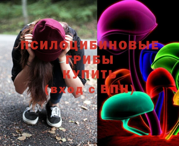 твердый Бородино