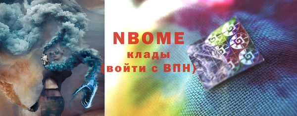 твердый Бородино