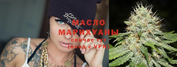 твердый Бородино