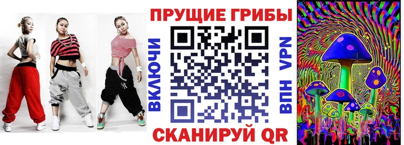 kraken как войти  Чудово  Псилоцибиновые грибы прущие грибы 